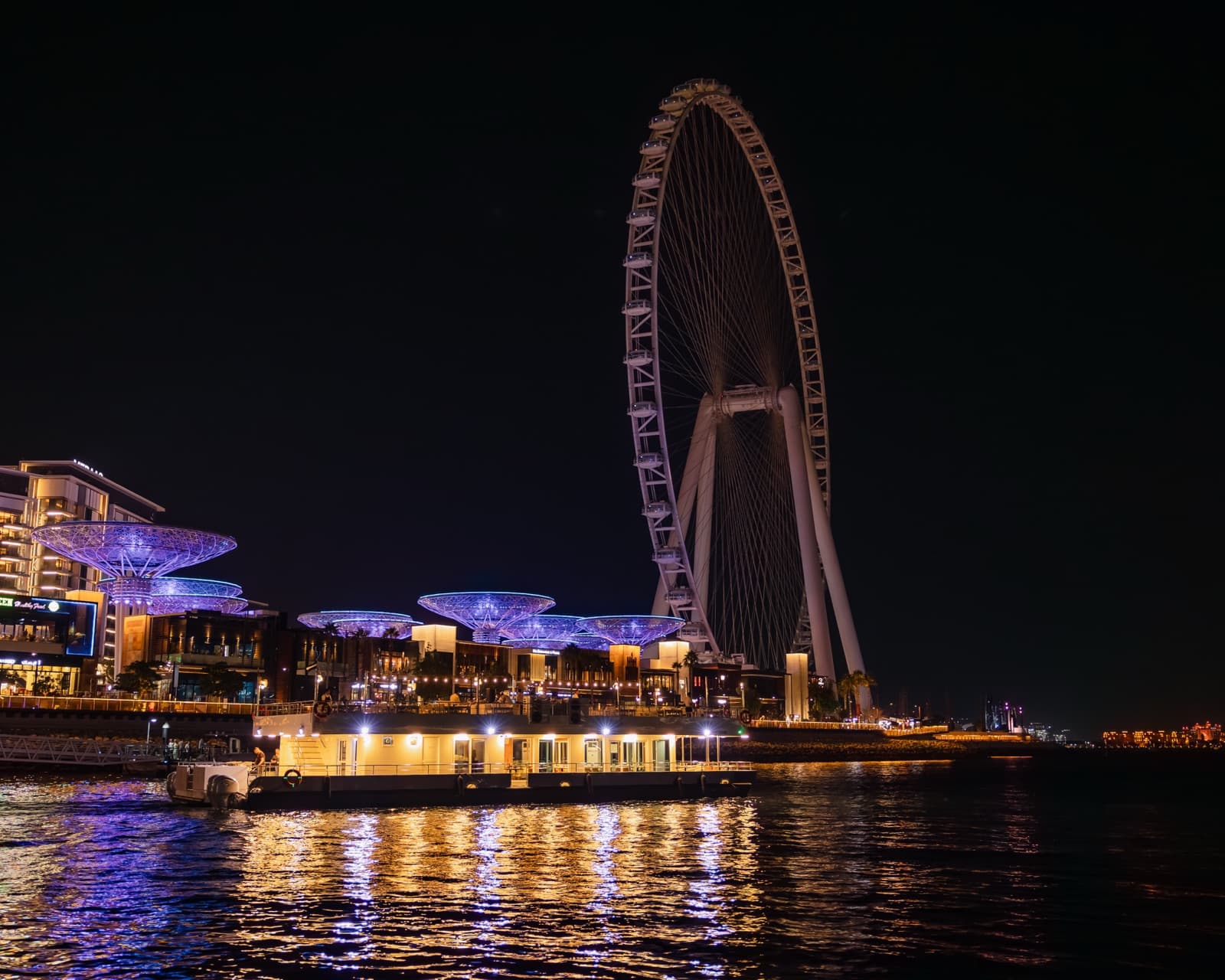 Alexandra Sea Lounge sailing past Ain Dubai
